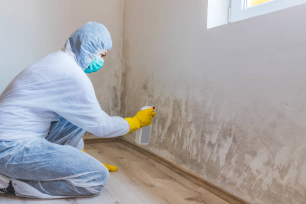 Licensed Mold Testing service in Jefferson, TX - WQB Mold Removal