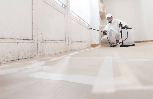 24/7 Emergency Mold Testing experts in Jefferson, TX