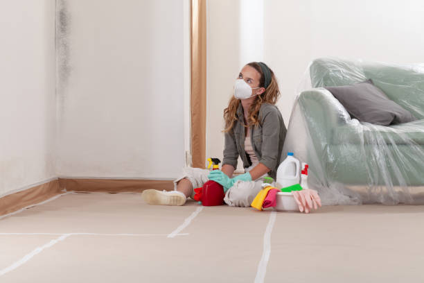 Reliable Mold Testing contractor in Jefferson, TX by WQB Mold Removal